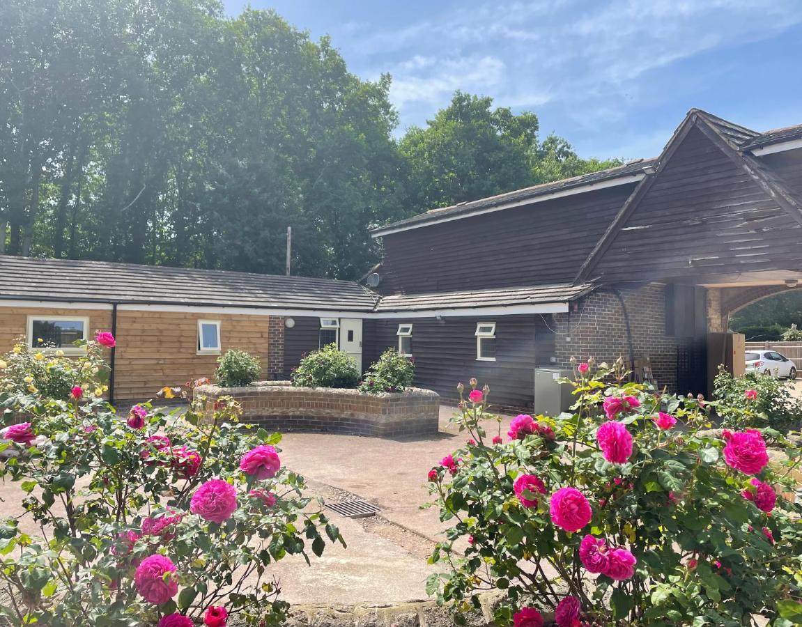 The Rose Cottage Wisborough Green Εξωτερικό φωτογραφία